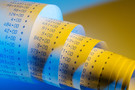 © Gina Sanders - Fotolia